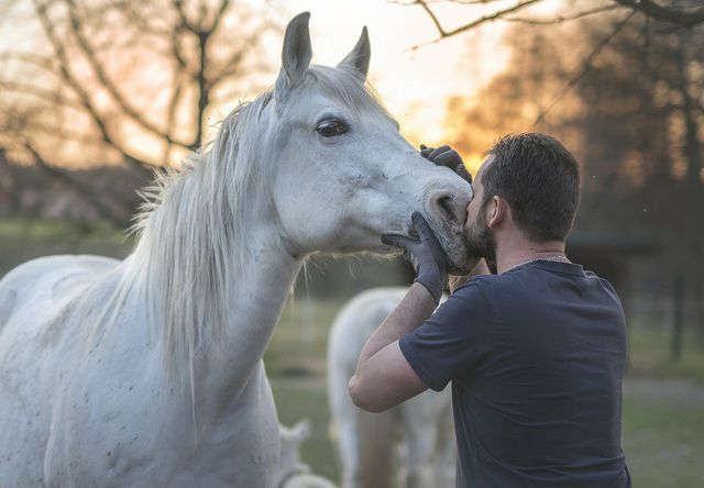 Hobby horsing can be a way for children to form emotional bonds with animals.