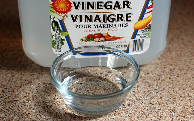 how to get rid of fruit flies with white vinegar 