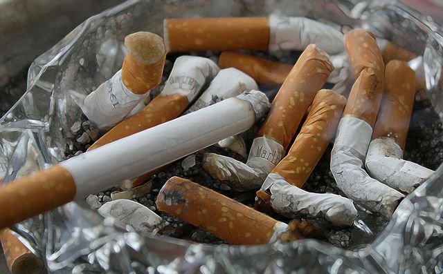 Cigarettes often contain animal products. 