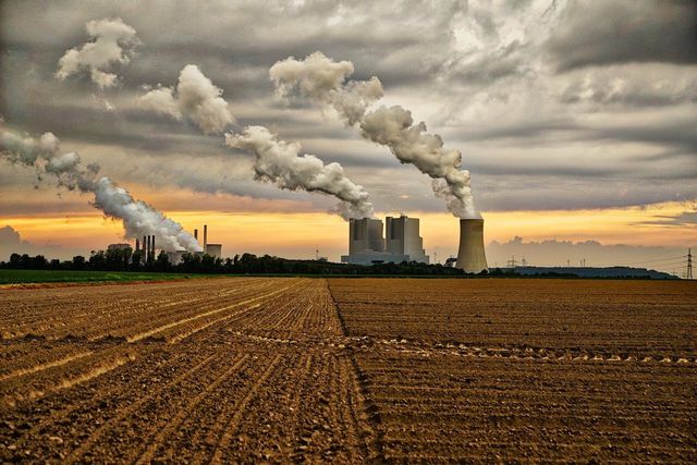 Coal-burning power plants are among the primary causes of acid rain.