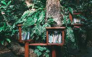 books about trees