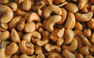 How are cashews harvested?