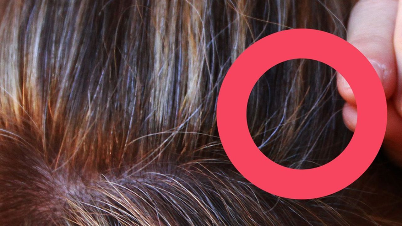 Rote strähnchen haare mit schwarze Haarfarbe: Rotstich