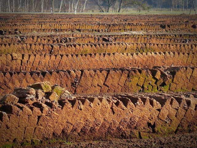 Peat should be avoided since it is mined from peat bogs and does not renew.