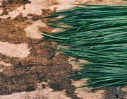 How to dry chives