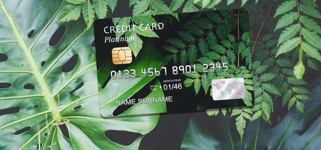 Grüne Kreditkarte