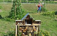 Permaculture designs