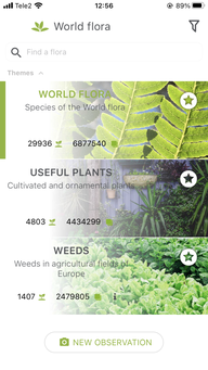 PlantNet is a top-rated free tree identification app.