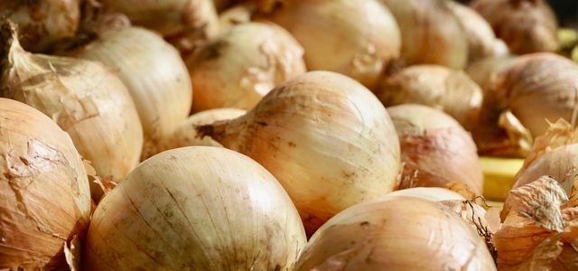 Onion skins uses