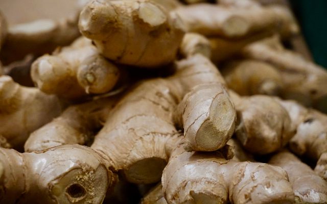Growing ginger how to grow ginger at home bulbs root