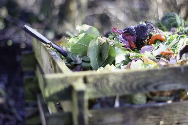 While composting can at first seem daunting, once you get into a routine, it will feel second nature and be well-worth the effort.