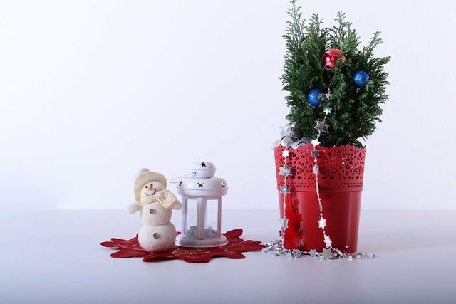 Whether you get a real or fake Christmas tree–say no to decorations made out of plastic and other materials that are not eco-friendly. You can make special Christmas ornaments using scrap paper for instance.