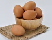 store eggs