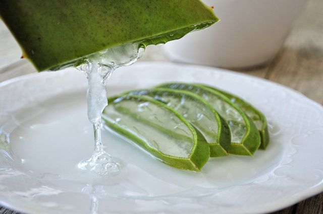 Aloe vera works wonders on damaged skin.