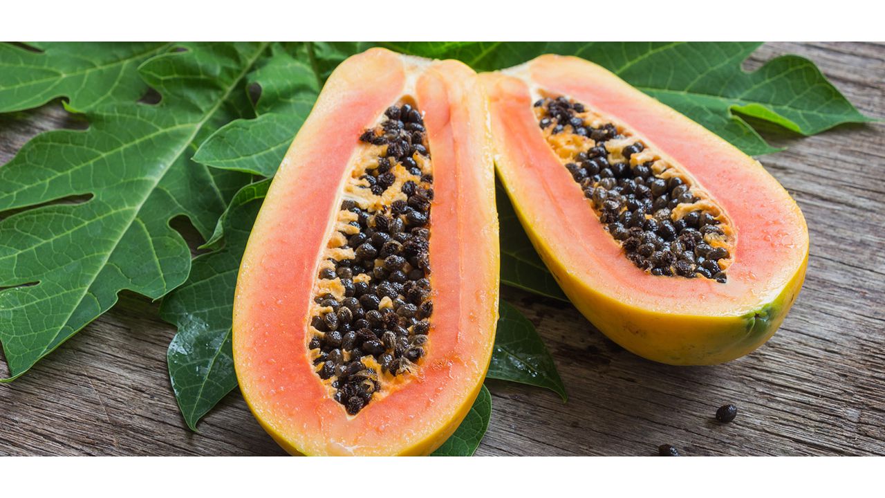 Saft milch papaya brustwachstum und Hilft milch