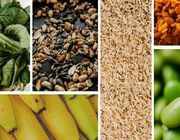 natural sources of magnesium