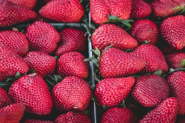 Sorting through your basket of strawberries before storing them will help to avoid mold. 