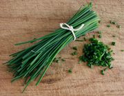 how to dry chives