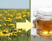 You can easily make dandelion honey yourself.