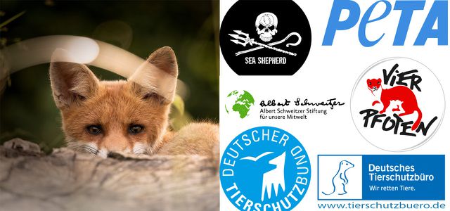 animal welfare organizations