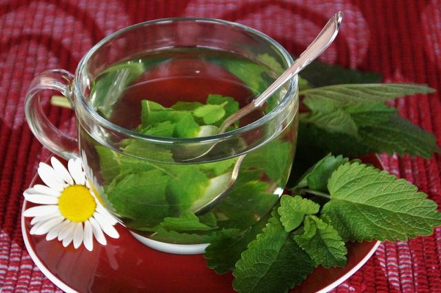 There are countless flowers and herbs that you can use to make delicious teas.