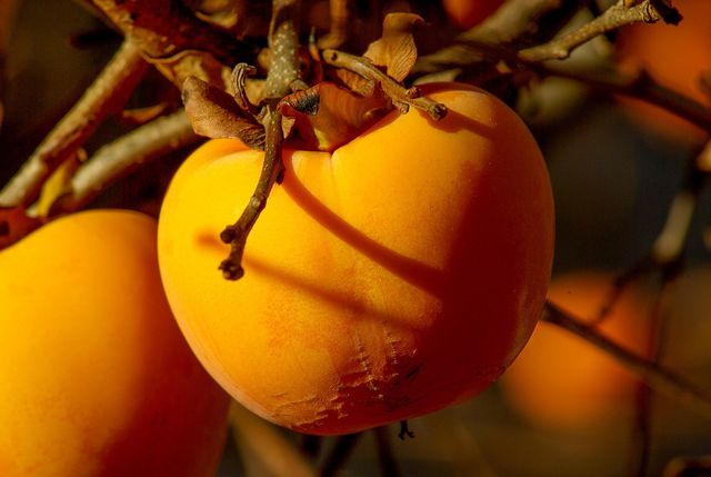 Persimmons have a similar texture to an apricot.