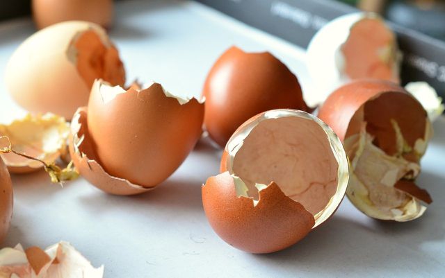 Eierschalen eignen sich als natürliches Mittel zur Bodenverbesserung.