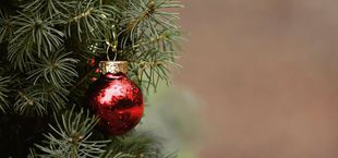 how to keep christmas trees fresh