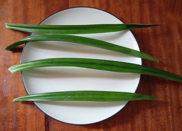 Pandan leaves have a sweet aroma.