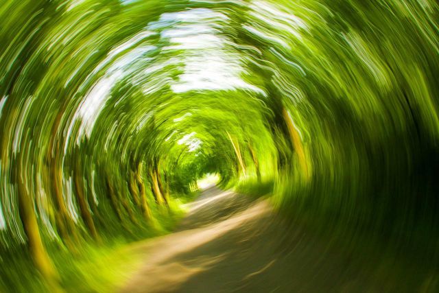Dizziness creates a false sense that your surroundings are spinning or moving around. 