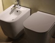 bidet vs toilet paper