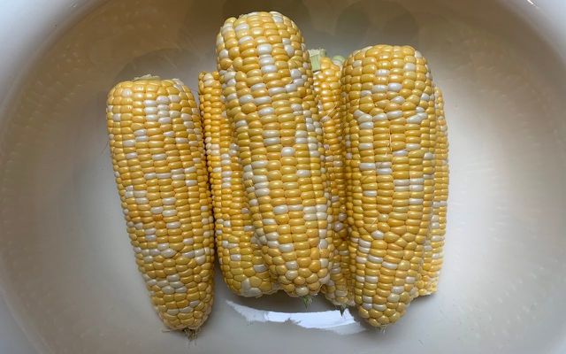 You should husk your corn before freezing. 