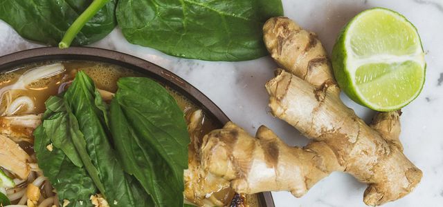 How to grow ginger at home growing ginger by yourself