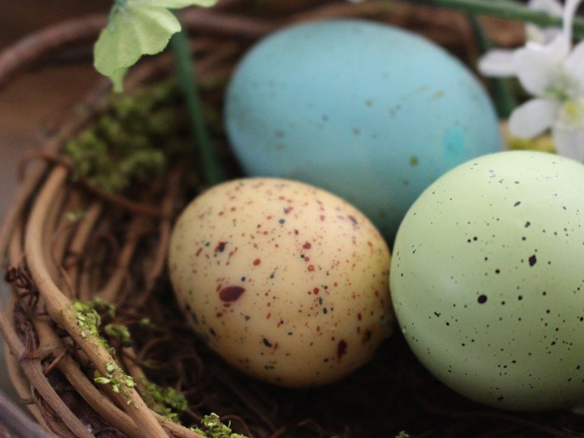Natural Easter Egg Dye With Organic Ingredients