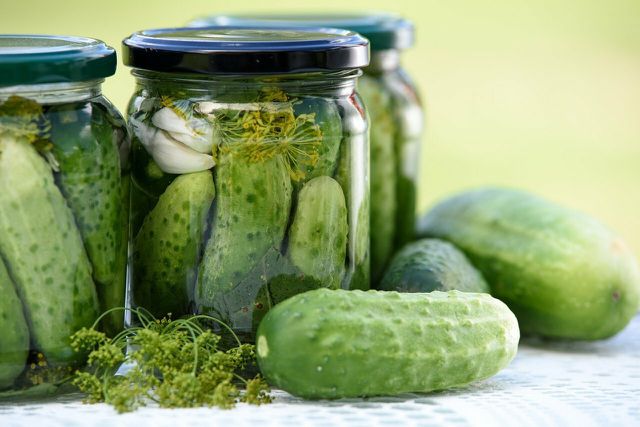 Dill is an essential herb for pickling.