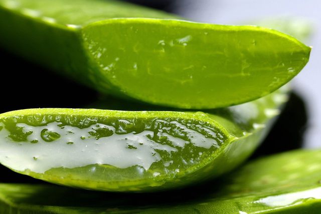 Apply the sap from the middle of the aloe vera leaf directly to stretch marks.