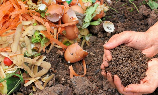 Use food waste to make compost.