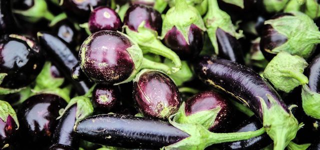 But organic, locally sourced eggplants – they do not need to be transported a long way and are cultivated in a sustainable way.