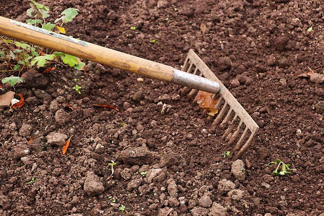 Simply rake the ash out in your garden to benefit your plants. 