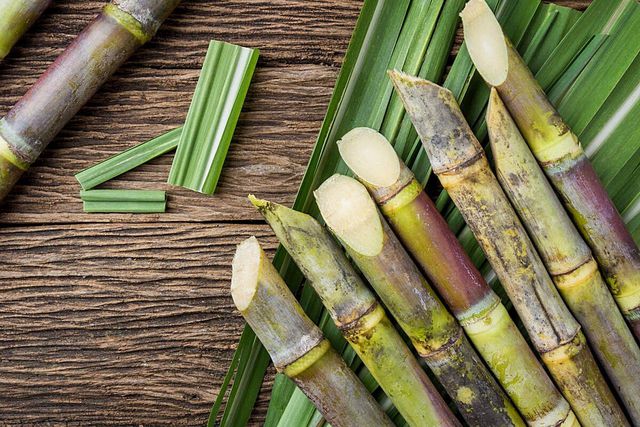 Sugarcane is the world's biggest source of sugar.