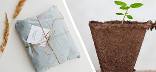 Eco-friendly gift ideas sustainable last minute presents