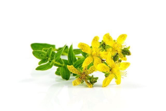 When buying St. John's wort, look for an organic seal.