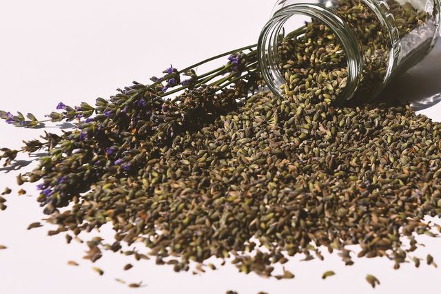 Lavender is natural and smells great, which is exactly what you want from a DIY car air freshener. 