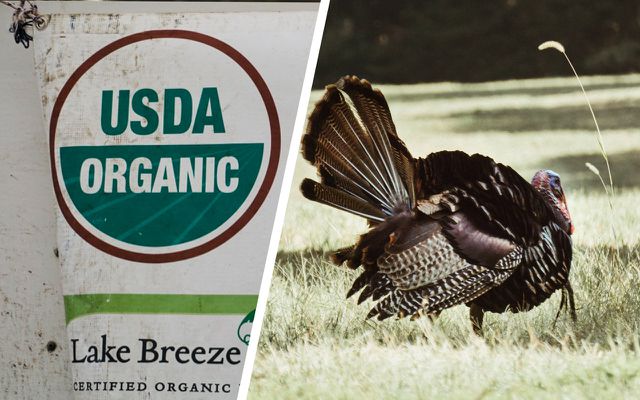 Green Thanksgiving tips USDA organic turkey 