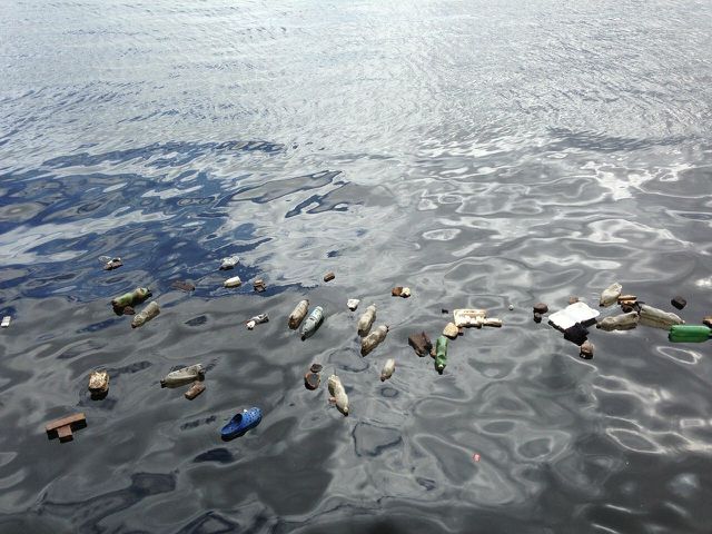 Marine dumping is a major cause of water pollution.