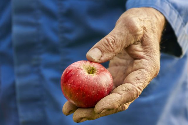 Every apple, whether eaten, juiced or fermented into apple cider vinegar is picked by hand.