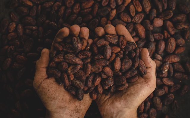 Both cocoa and cacao powder are made from cocao beans