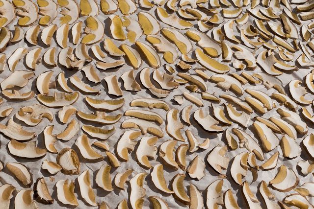 For best results when drying mushrooms, make sure they are thinly sliced.