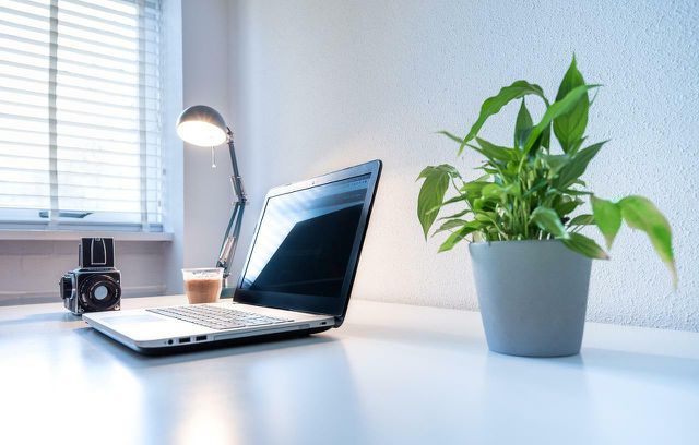 Indoor plants on your desk will keep you grounded.