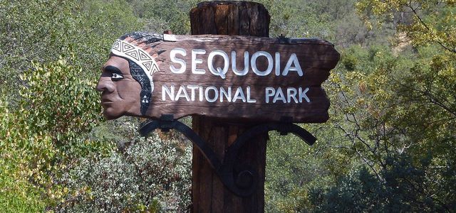 Sequoia national park hikes